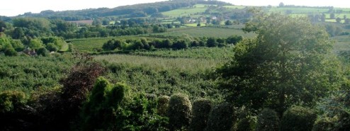 A view of the farm