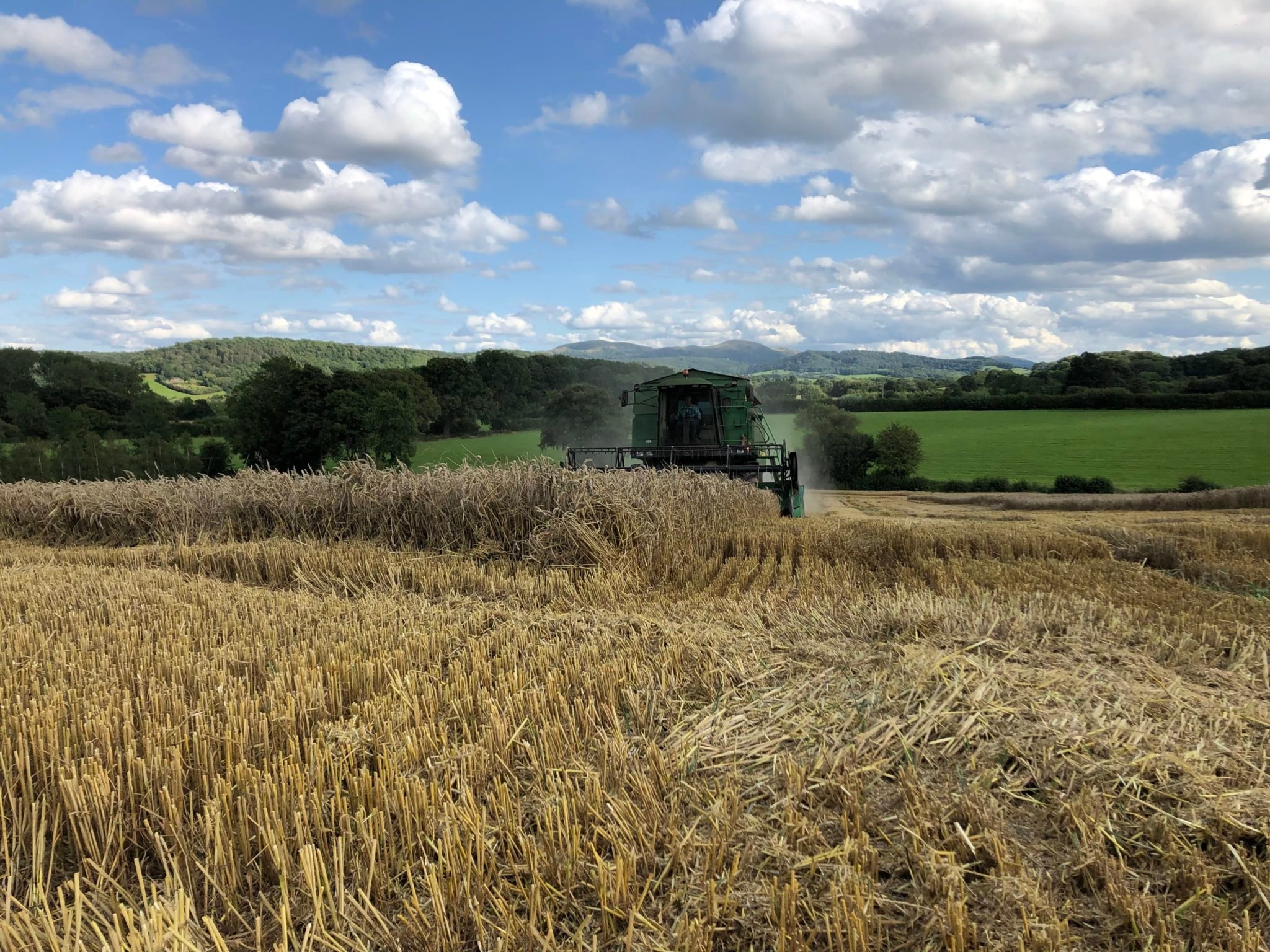Precision Planting for Stocks Farm Apples Stocks Farm